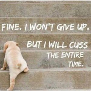 Meet your Posher, Judy